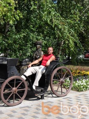   ,   Vitalik, 51 ,   
