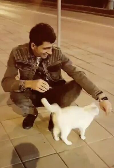  ,   , 26 ,   ,   , c , 