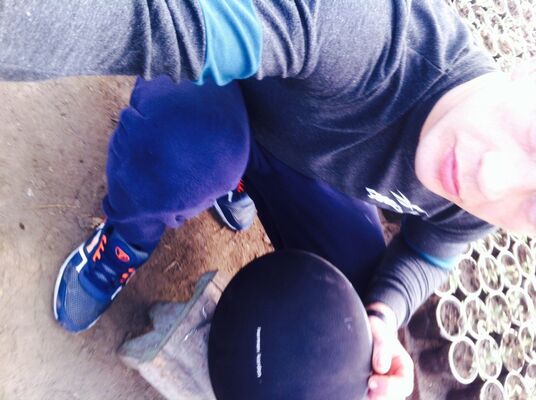  -,   , 36 ,   ,   , c 