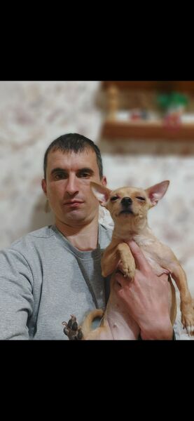  ,   , 42 ,   ,   , 