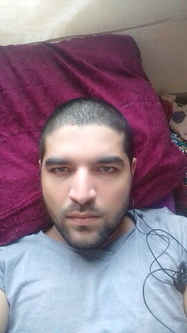  16643812  Dima, 31 ,    