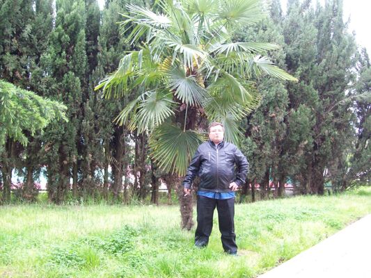  ,   , 50 ,   ,   , c 
