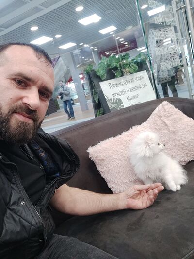  ,   , 41 ,   ,   