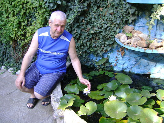  -,   , 64 ,  