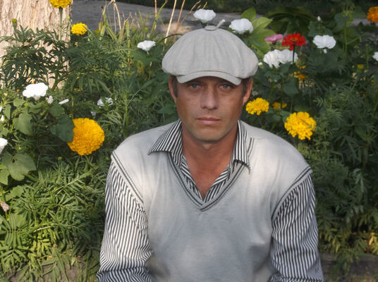  ,   lex, 49 ,   ,   , c 
