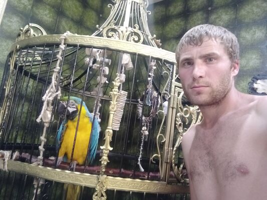  ,   , 36 ,   ,   , c , 