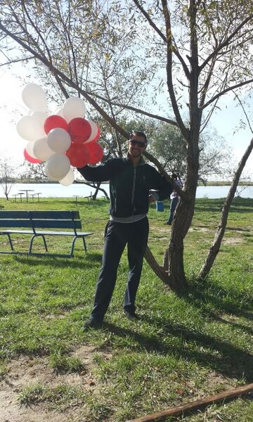  --,   , 37 ,   ,   , c 
