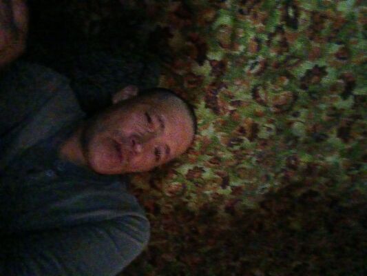  -,   , 38 ,   ,   , c 