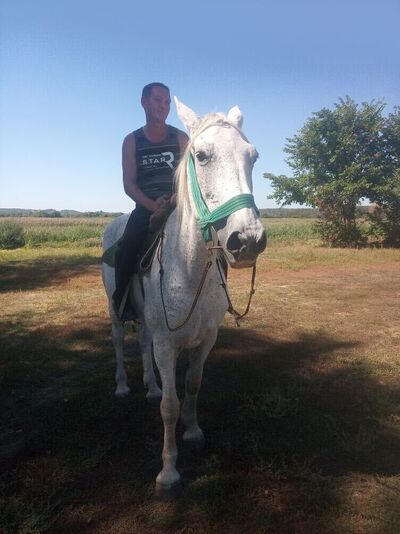  ,   , 49 ,     , c , 