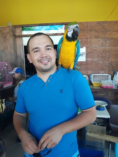  ,   Oleg, 40 ,   , 