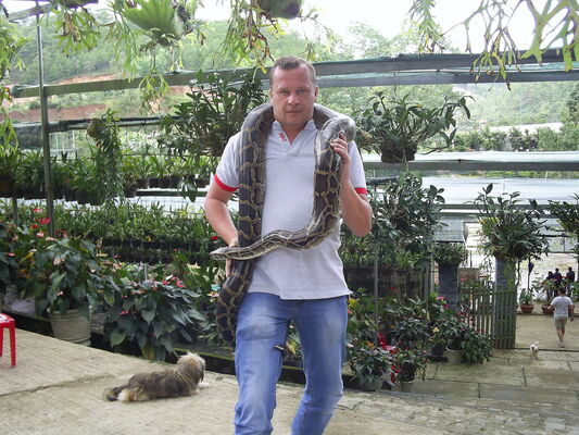  ,   Dimma, 48 ,   ,   , c 