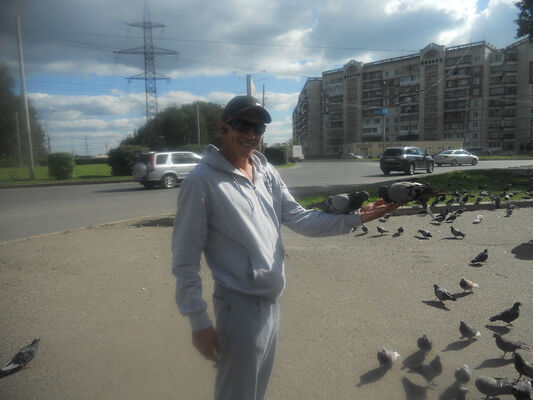  -,   , 41 ,   ,   , c 