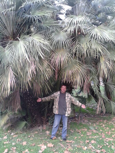  ,   Sergey, 52 ,   