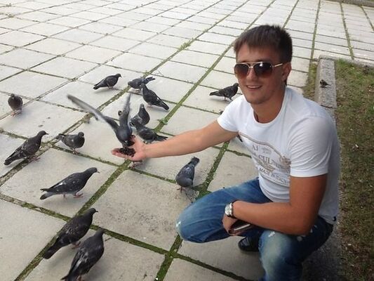  -,   Vladimir, 37 ,   ,   , c , 