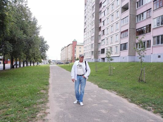  ,   Apis, 55 ,     , c 