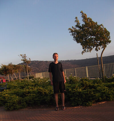  Karmi'el,   David, 40 ,     , c 