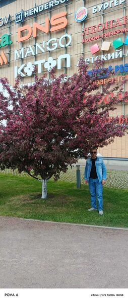  -,   Neman, 43 ,   ,   