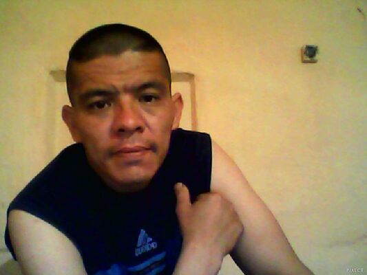  ,   Yusuf, 43 ,     , c , 