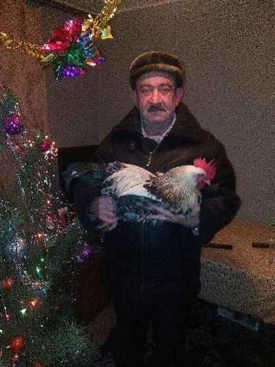  ,   Wolodja, 66 ,   ,   , c 