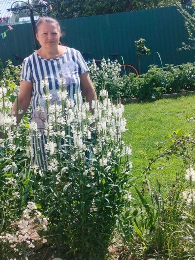  ,   , 50 ,   ,   , c , 