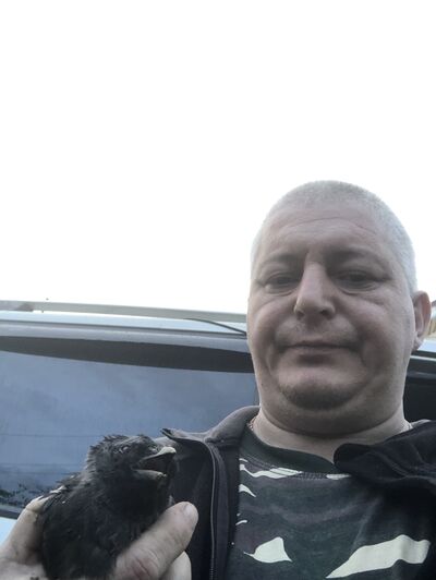  ,   , 49 ,   c 