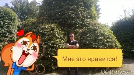  9180342  Vitaliy, 36 ,    