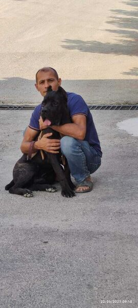  ,   Zaman, 49 ,   ,   , c , 