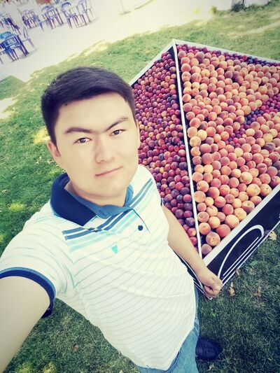  ,   , 27 ,     , c 