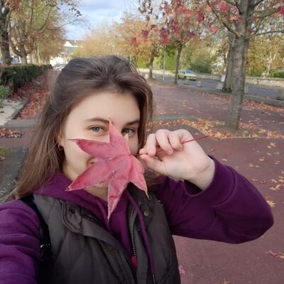  Vincennes,   , 20 ,   ,   
