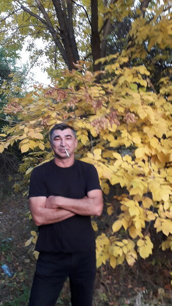  ,   , 54 ,   ,   