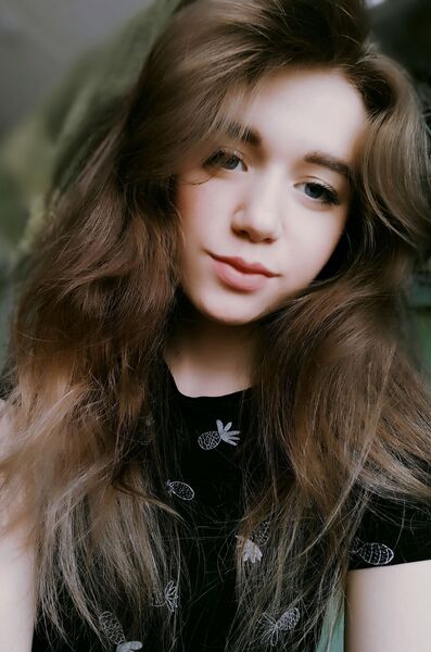  -,   , 29 ,   ,   