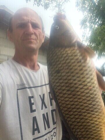  ,   , 55 ,  