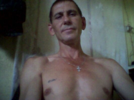  ,   , 53 ,   , 