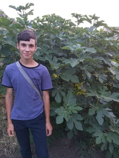  ,   Gutieich, 25 ,   ,   