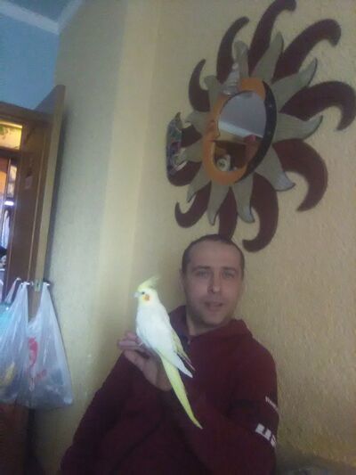 ,   , 44 ,   ,   , c 