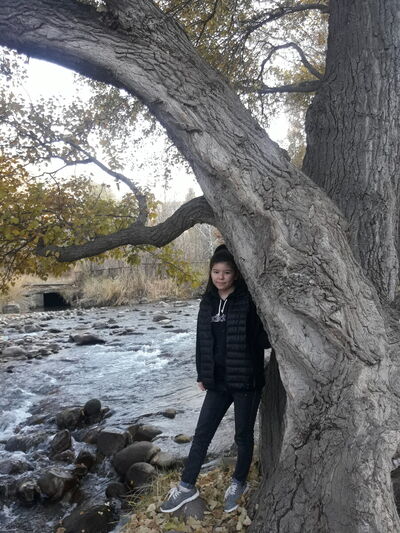  ,   , 23 ,     , c 