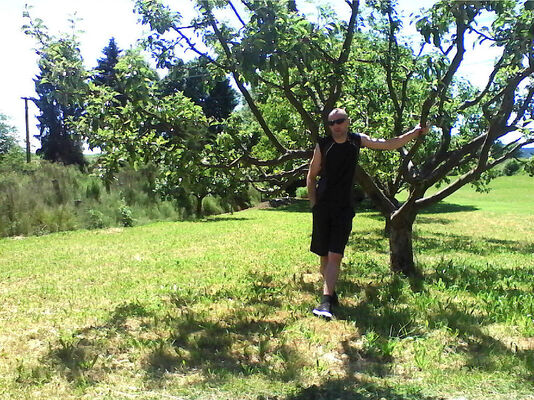  Plzen,   Dajkin, 49 ,   
