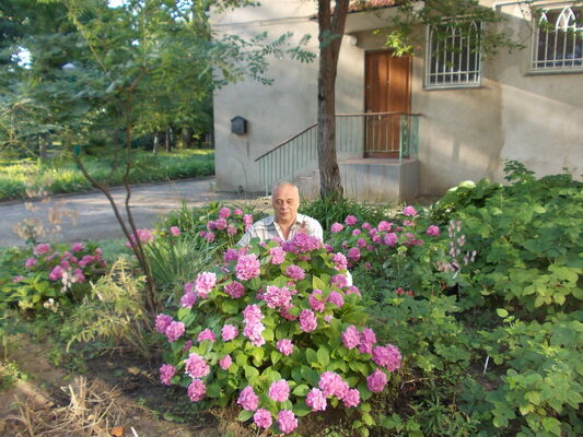  ,   , 64 ,   ,   , c 