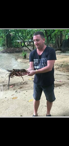  ,   , 52 ,   ,   , c , 