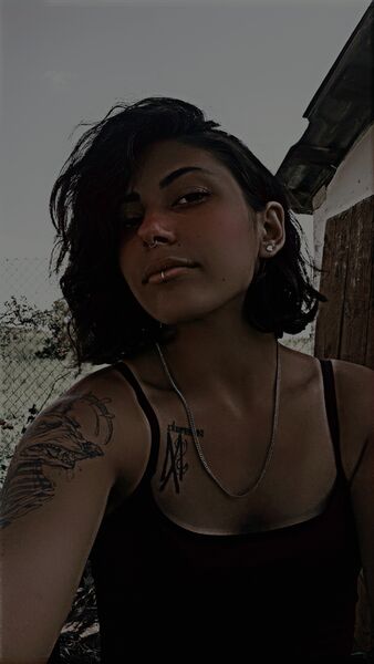 ,   , 19 ,     , 
