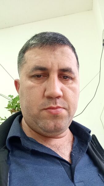  ,   Telfon, 43 ,   ,   