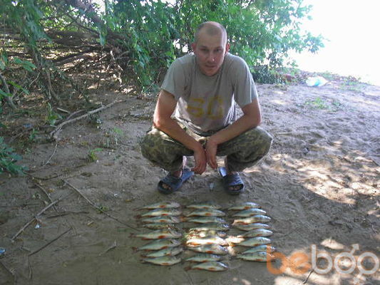 ���������� �����, ���� ������� ������, 46 ���, ������������ ��� ������