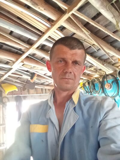  -,   , 43 ,   ,   