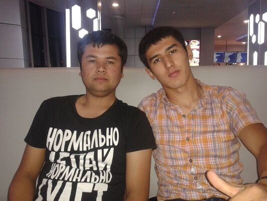  -,   Dima, 33 ,   ,   , c , 