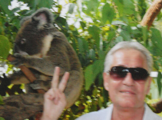  ,   Nik, 72 ,   ,   , c 
