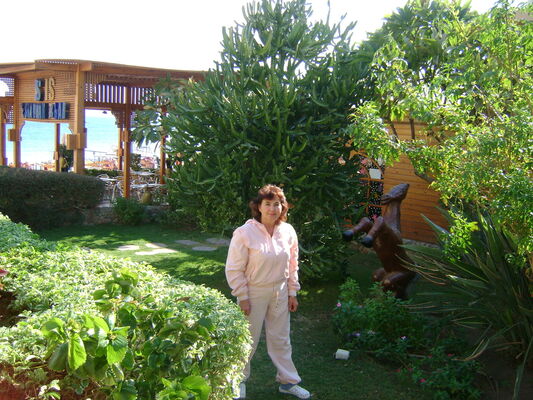  ,   , 68 ,   ,   , c 