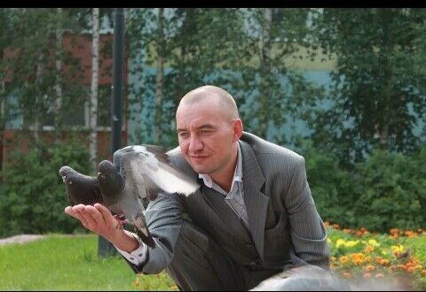 ���������� �����������, ���� ������� ����, 44 ����, ������������ ��� ������, ����� � ���������, c�������� ���������