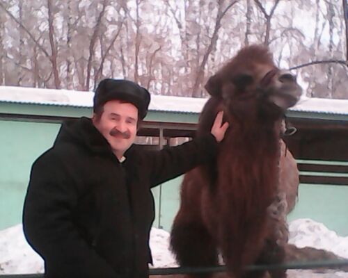  ,   , 57 ,   ,   , c 