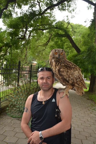  -,   , 45 ,   ,   , c , 