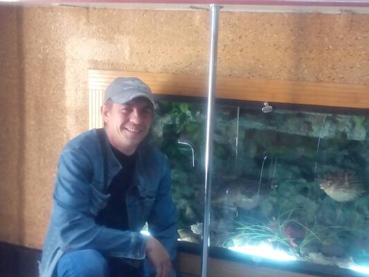 ,   Vladimir, 40 ,     , c 